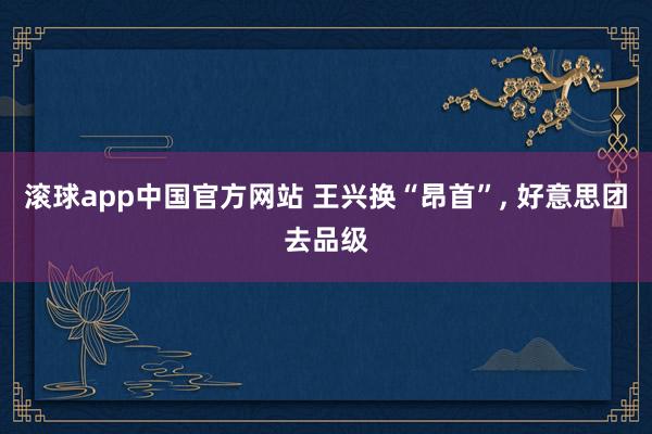滚球app中国官方网站 王兴换“昂首”， 好意思团去品级