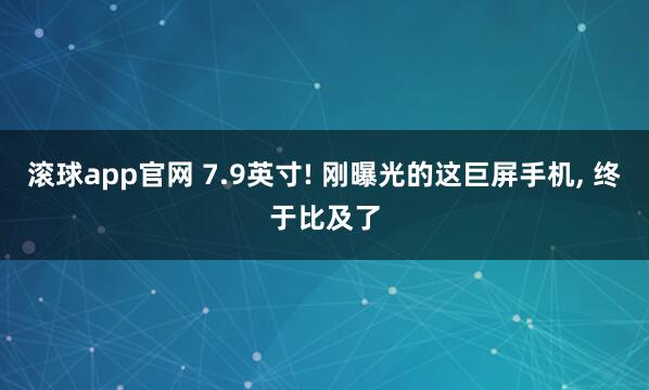 滚球app官网 7.9英寸! 刚曝光的这巨屏手机， 终于比及了