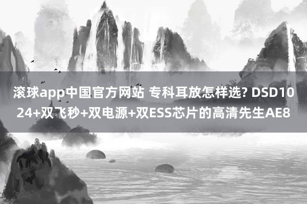 滚球app中国官方网站 专科耳放怎样选? DSD1024+双飞秒+双电源+双ESS芯片的高清先生AE8