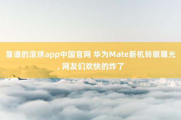 靠谱的滚球app中国官网 华为Mate新机转眼曝光， 网友们欢快的炸了