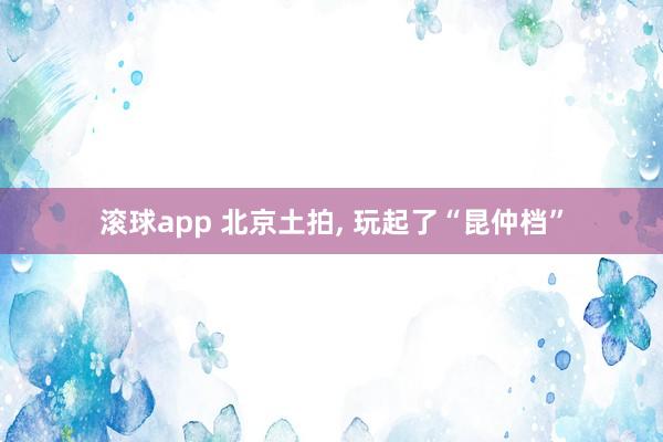 滚球app 北京土拍， 玩起了“昆仲档”