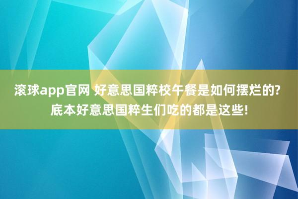 滚球app官网 好意思国粹校午餐是如何摆烂的? 底本好意思国粹生们吃的都是这些!