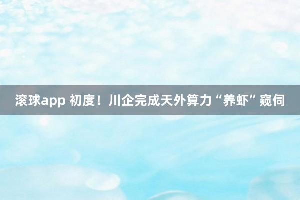滚球app 初度！川企完成天外算力“养虾”窥伺