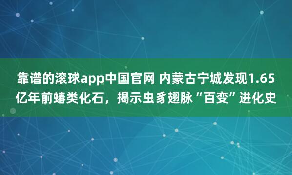 靠谱的滚球app中国官网 内蒙古宁城发现1.65亿年前蝽类化石，揭示虫豸翅脉“百变”进化史