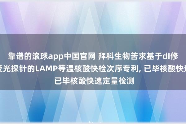 靠谱的滚球app中国官网 拜科生物苦求基于dI修饰引物、荧光探针的LAMP等温核酸快检次序专利， 已毕核酸快速定量检测