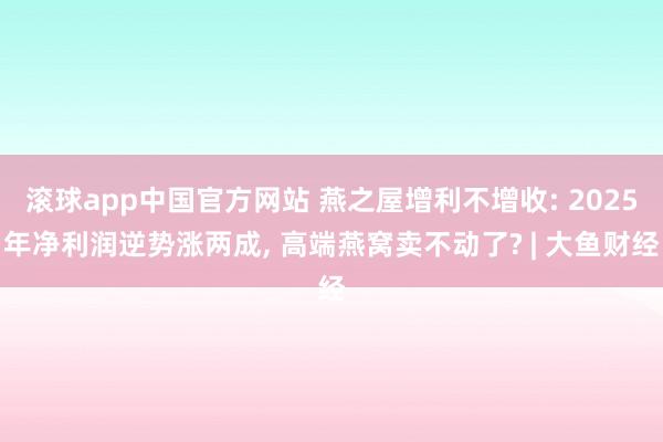 滚球app中国官方网站 燕之屋增利不增收: 2025年净利润逆势涨两成， 高端燕窝卖不动了? | 大鱼财经