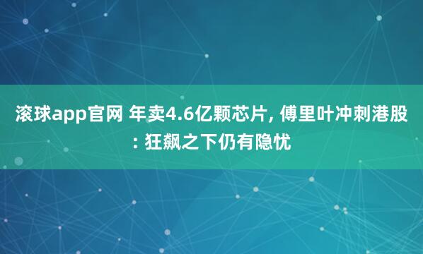 滚球app官网 年卖4.6亿颗芯片， 傅里叶冲刺港股: 狂飙之下仍有隐忧