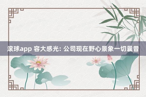 滚球app 容大感光: 公司现在野心景象一切曩昔