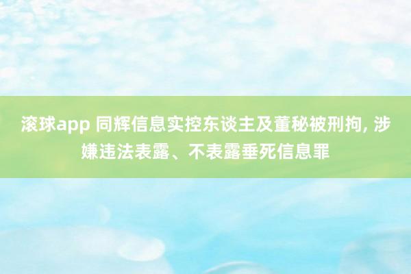 滚球app 同辉信息实控东谈主及董秘被刑拘， 涉嫌违法表露、不表露垂死信息罪