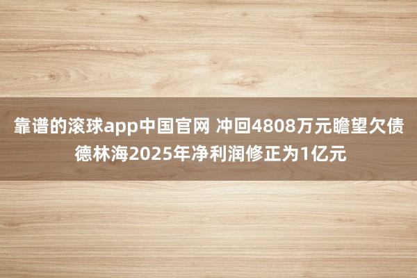 靠谱的滚球app中国官网 冲回4808万元瞻望欠债 德林海2025年净利润修正为1亿元