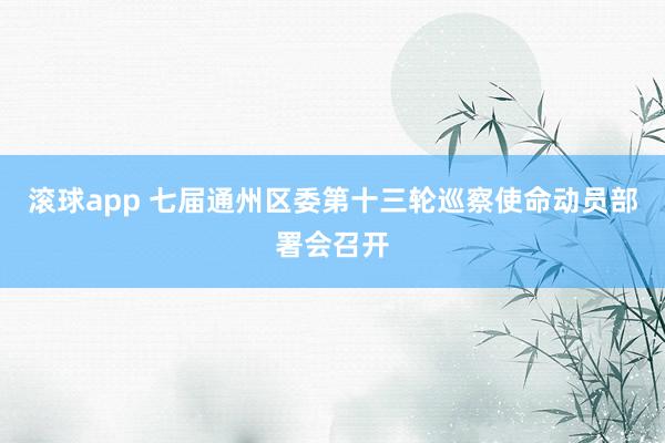 滚球app 七届通州区委第十三轮巡察使命动员部署会召开