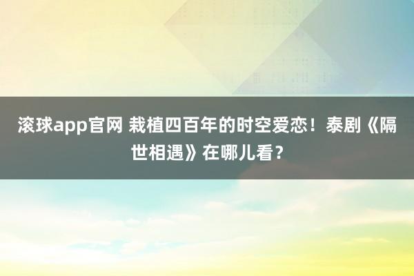 滚球app官网 栽植四百年的时空爱恋！泰剧《隔世相遇》在哪儿看？