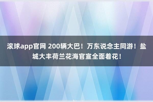 滚球app官网 200辆大巴！万东说念主同游！盐城大丰荷兰花海官宣全面着花！