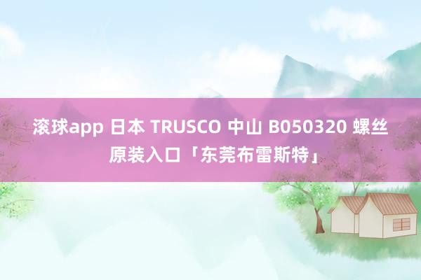 滚球app 日本 TRUSCO 中山 B050320 螺丝 原装入口「东莞布雷斯特」