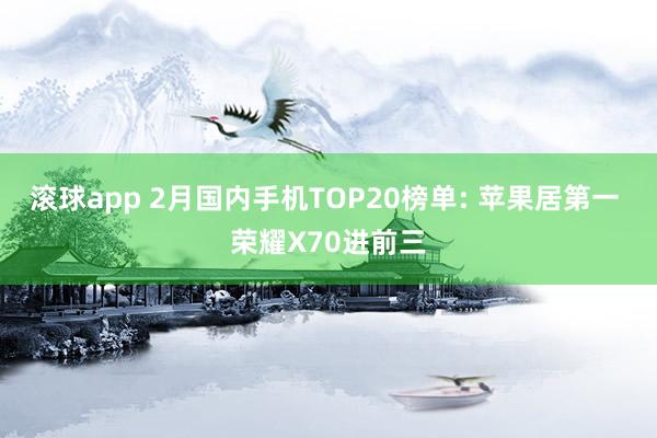 滚球app 2月国内手机TOP20榜单: 苹果居第一 荣耀X70进前三