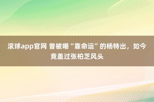 滚球app官网 曾被嘲“靠命运”的杨特出，如今竟盖过张柏芝风头