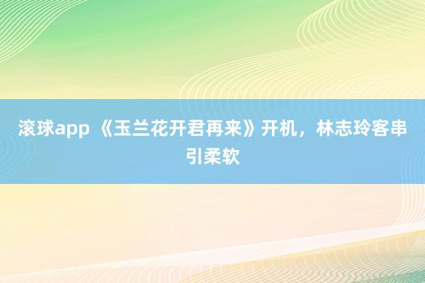 滚球app 《玉兰花开君再来》开机，林志玲客串引柔软