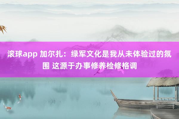 滚球app 加尔扎：绿军文化是我从未体验过的氛围 这源于办事修养检修格调
