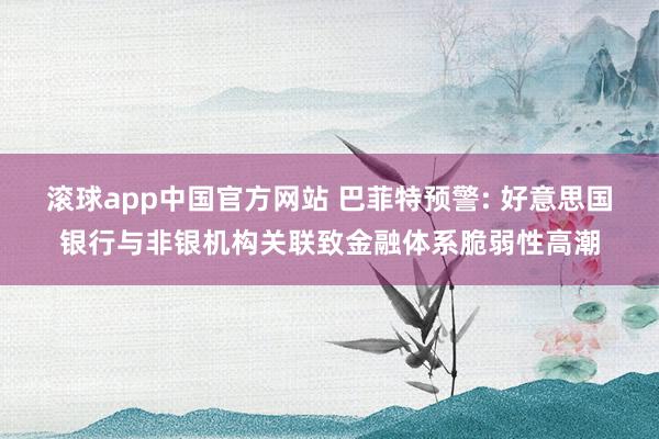 滚球app中国官方网站 巴菲特预警: 好意思国银行与非银机构关联致金融体系脆弱性高潮