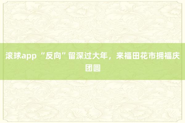 滚球app “反向”留深过大年，来福田花市拥福庆团圆