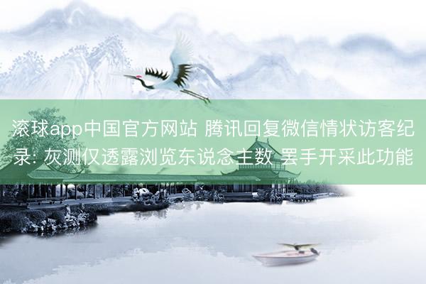 滚球app中国官方网站 腾讯回复微信情状访客纪录: 灰测仅透露浏览东说念主数 罢手开采此功能