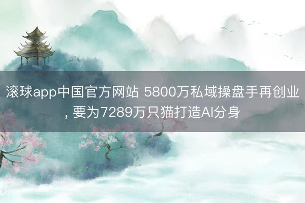 滚球app中国官方网站 5800万私域操盘手再创业， 要为7289万只猫打造AI分身