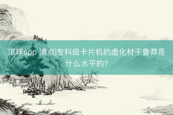 滚球app 清点|专科级卡片机的虚化材干鲁莽是什么水平的?