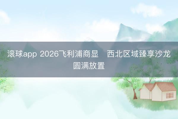 滚球app 2026飞利浦商显・西北区域臻享沙龙圆满放置