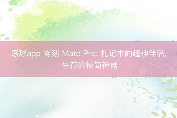 滚球app 零刻 Mate Pro: 札记本的超神伴侣， 生存的极简神器