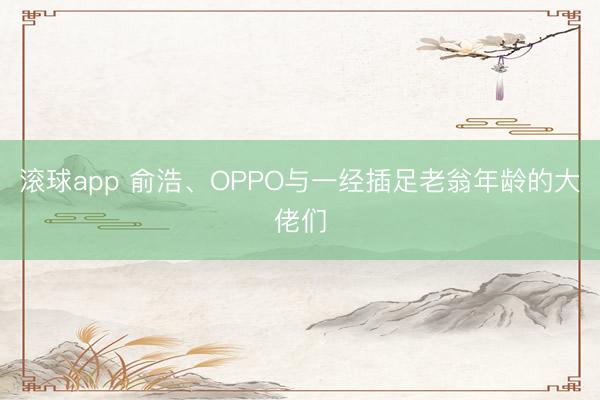 滚球app 俞浩、OPPO与一经插足老翁年龄的大佬们