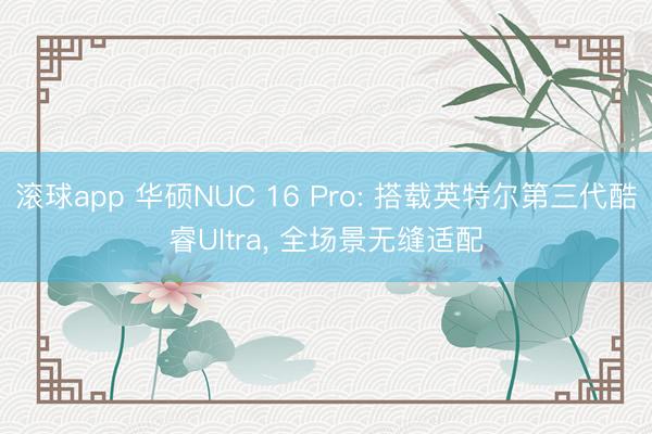滚球app 华硕NUC 16 Pro: 搭载英特尔第三代酷睿Ultra， 全场景无缝适配