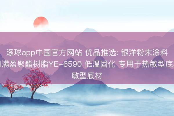 滚球app中国官方网站 优品推选: 银洋粉末涂料用满盈聚酯树脂YE-6590 低温固化 专用于热敏型底材